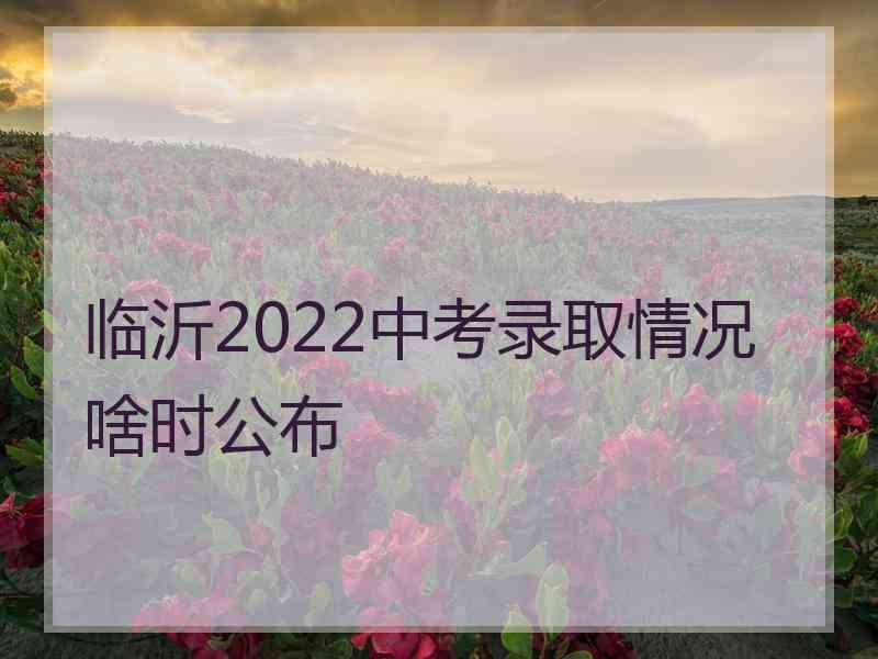 临沂2022中考录取情况啥时公布