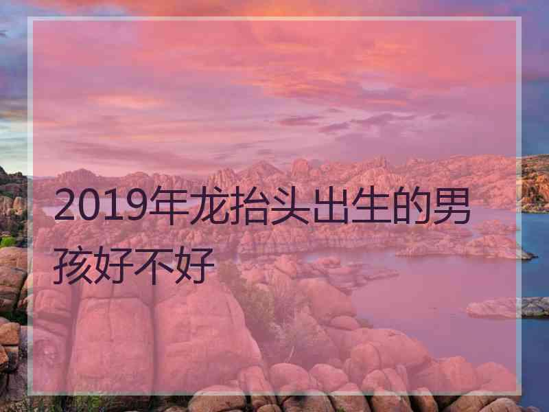 2019年龙抬头出生的男孩好不好