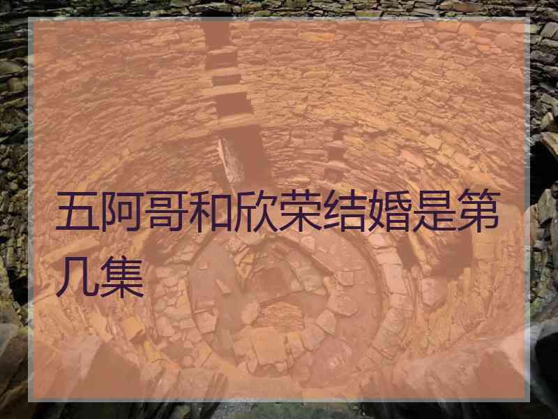 五阿哥和欣荣结婚是第几集