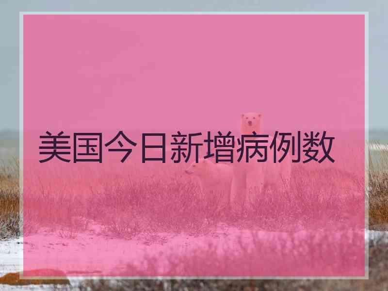 美国今日新增病例数