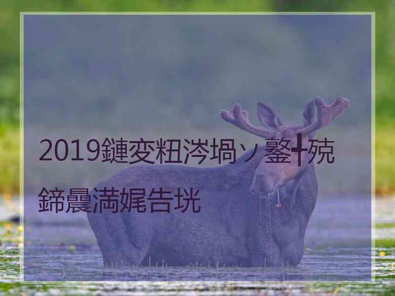 2019鏈変粈涔堝ソ鐜╃殑鍗曟満娓告垙