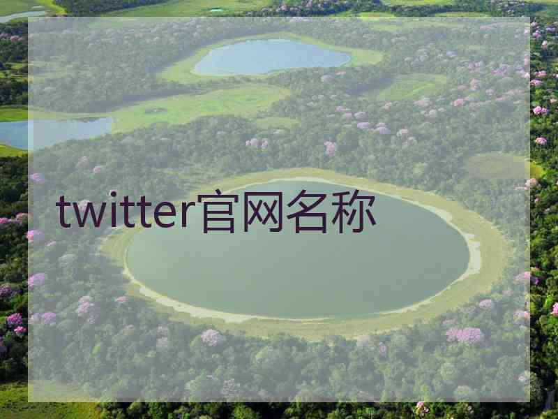 twitter官网名称