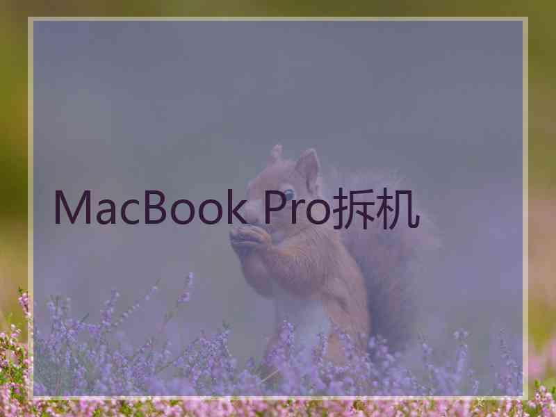 MacBook Pro拆机