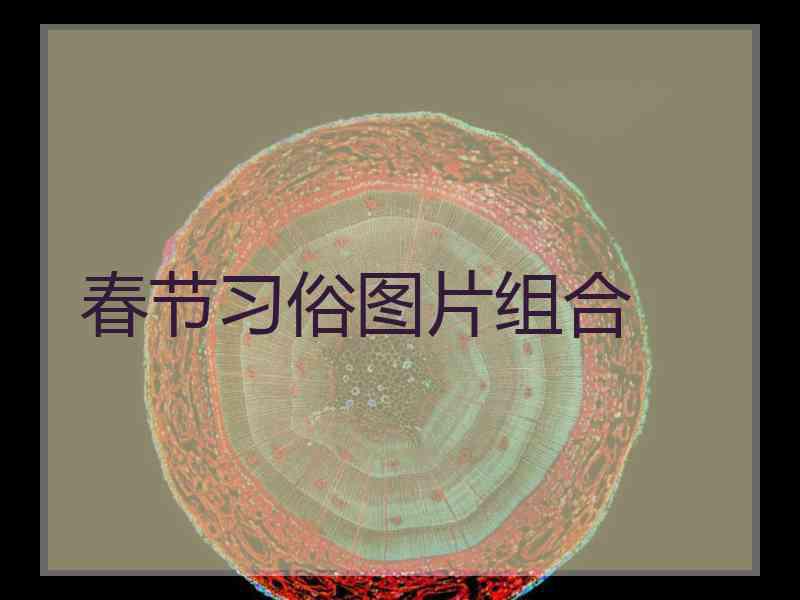 春节习俗图片组合