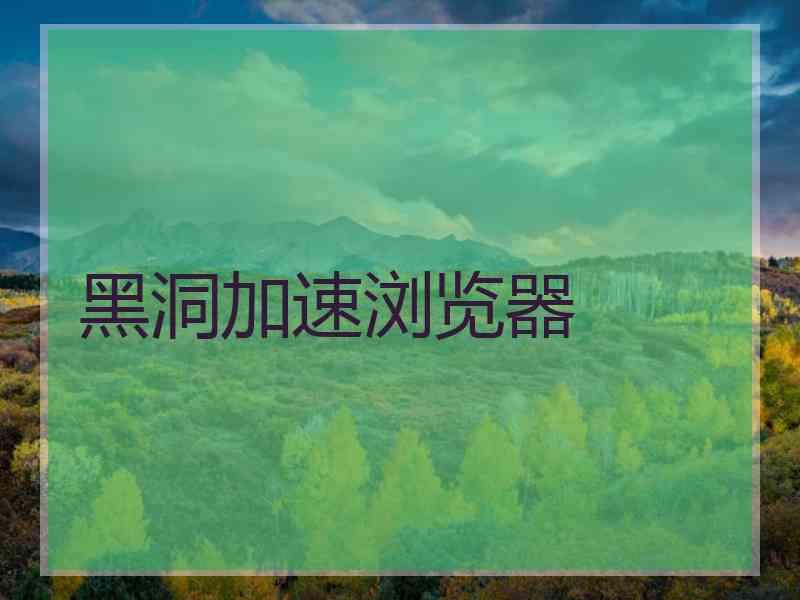 黑洞加速浏览器