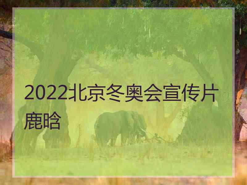 2022北京冬奥会宣传片鹿晗
