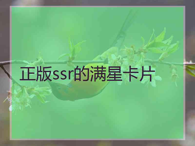 正版ssr的满星卡片