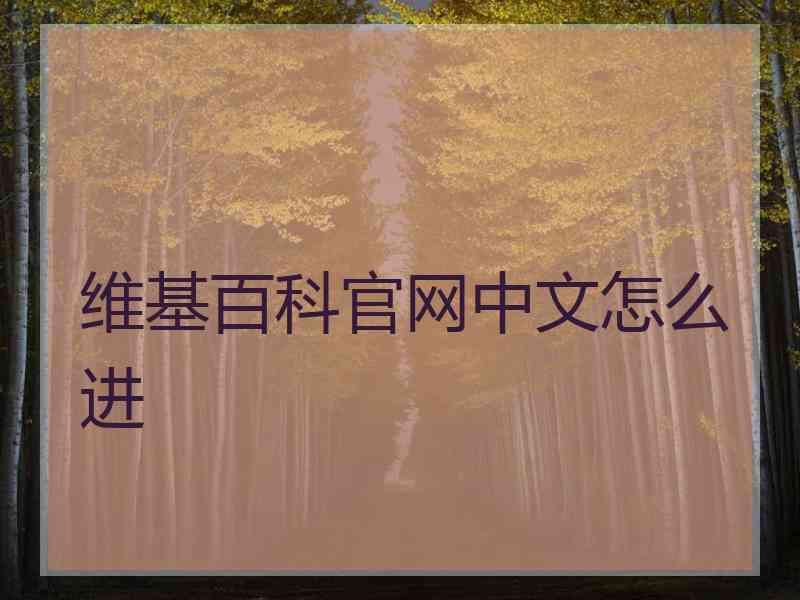维基百科官网中文怎么进
