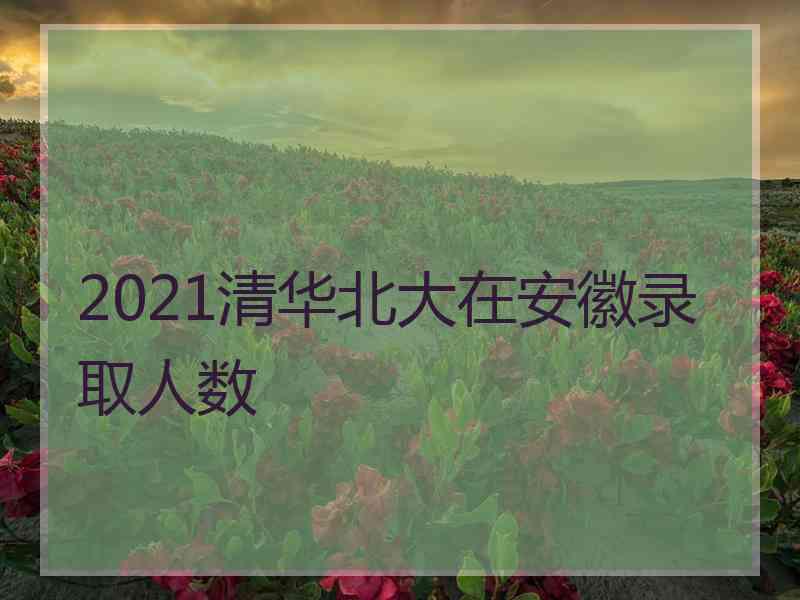 2021清华北大在安徽录取人数