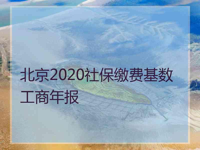 北京2020社保缴费基数工商年报