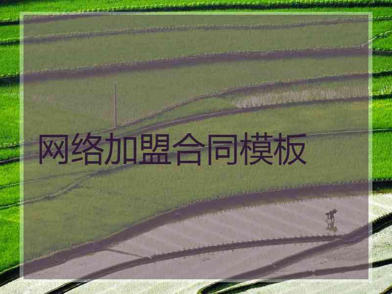 网络加盟合同模板