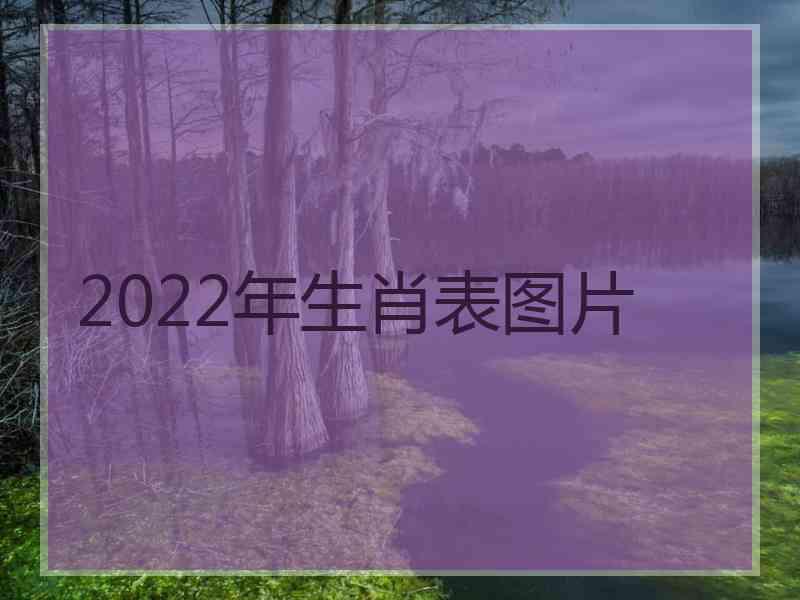 2022年生肖表图片