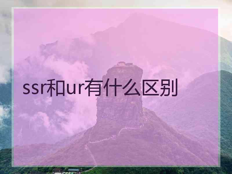 ssr和ur有什么区别