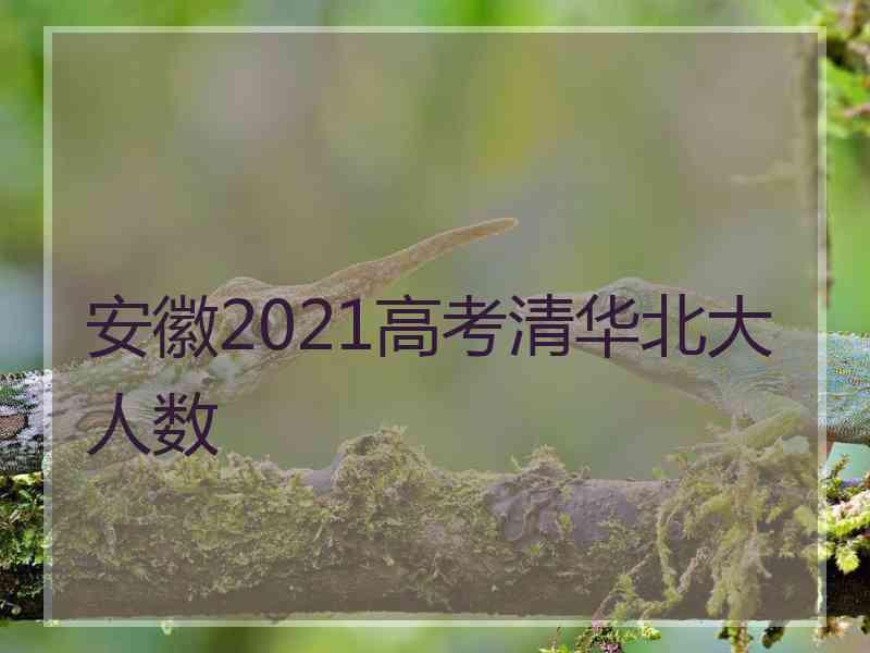 安徽2021高考清华北大人数