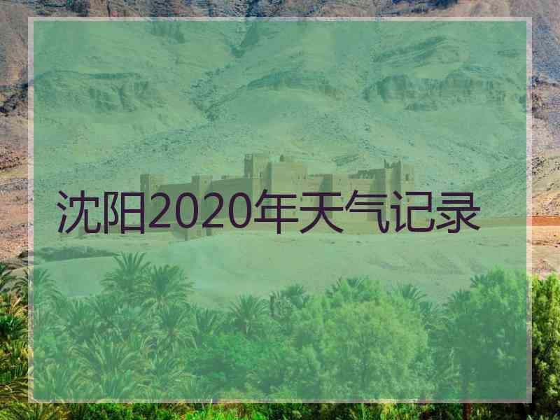 沈阳2020年天气记录