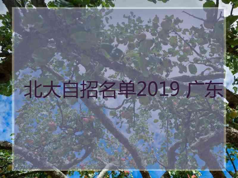 北大自招名单2019 广东