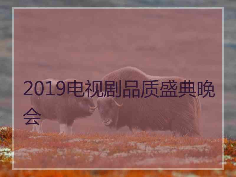 2019电视剧品质盛典晚会
