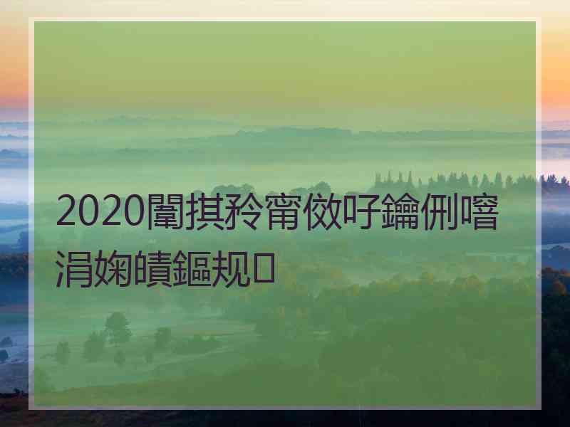 2020闈掑矝甯傚吇鑰侀噾涓婅皟鏂规