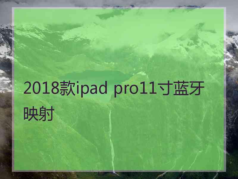 2018款ipad pro11寸蓝牙映射