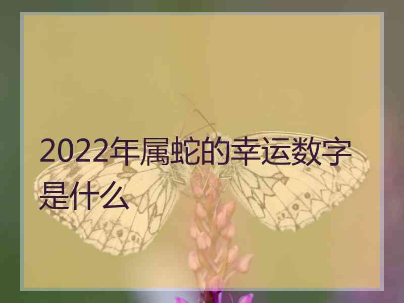 2022年属蛇的幸运数字是什么