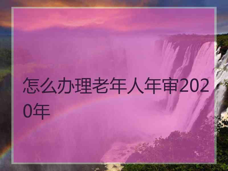 怎么办理老年人年审2020年