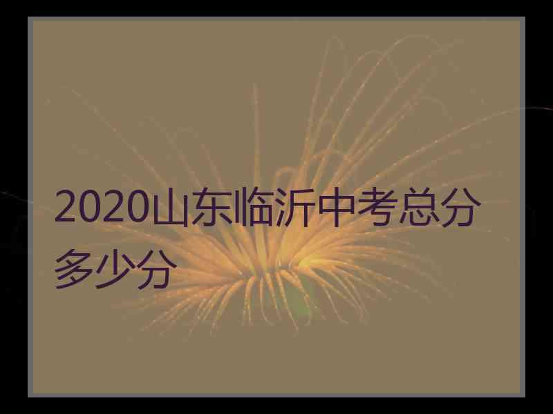 2020山东临沂中考总分多少分