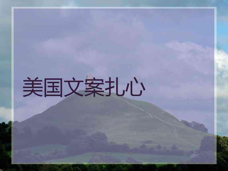 美国文案扎心