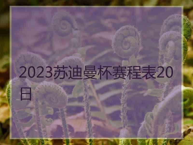 2023苏迪曼杯赛程表20日