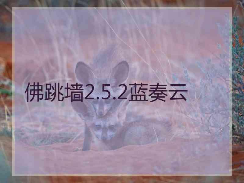 佛跳墙2.5.2蓝奏云