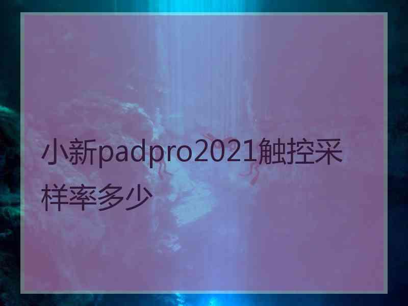 小新padpro2021触控采样率多少