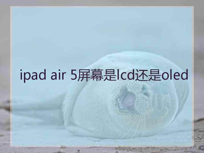 ipad air 5屏幕是lcd还是oled