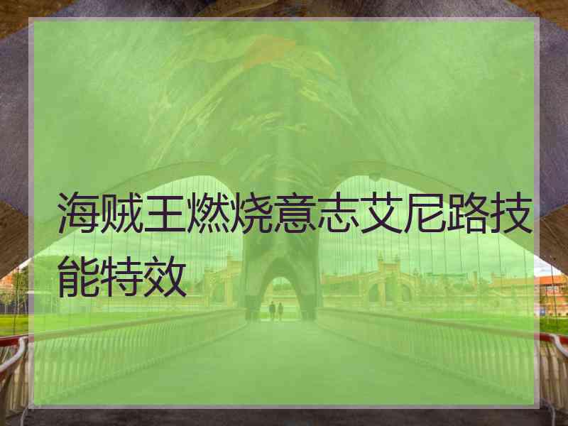 海贼王燃烧意志艾尼路技能特效