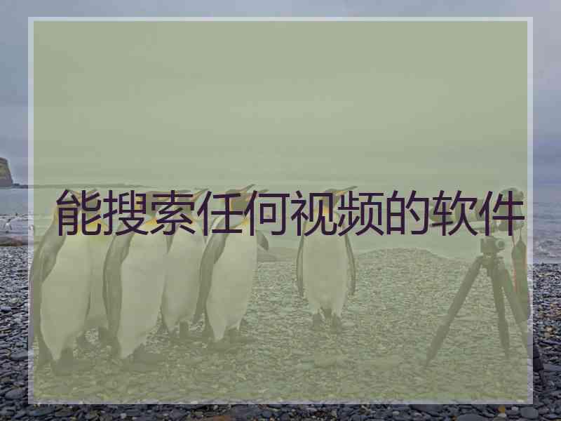 能搜索任何视频的软件