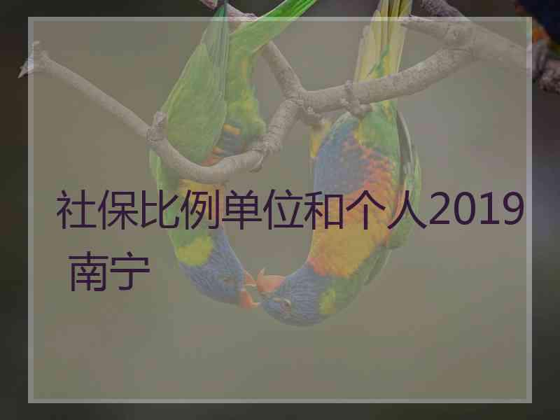 社保比例单位和个人2019 南宁
