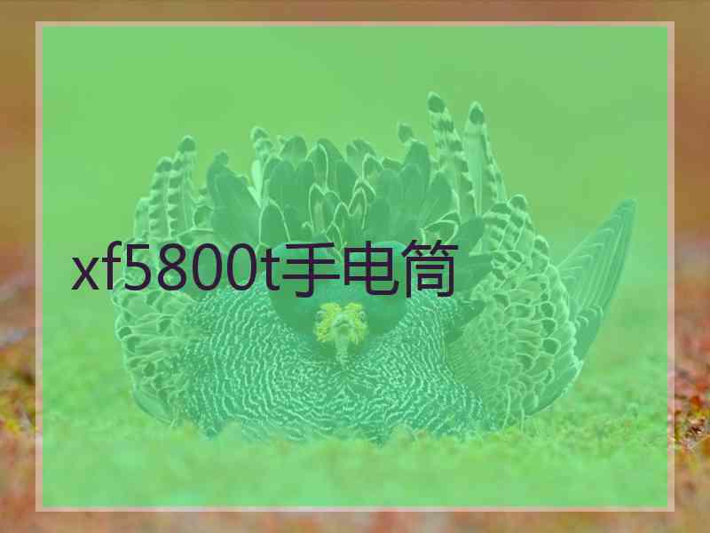 xf5800t手电筒