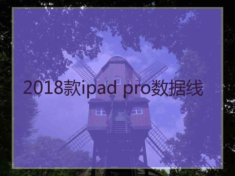 2018款ipad pro数据线