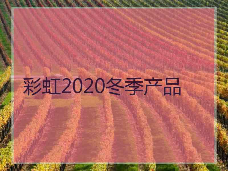彩虹2020冬季产品
