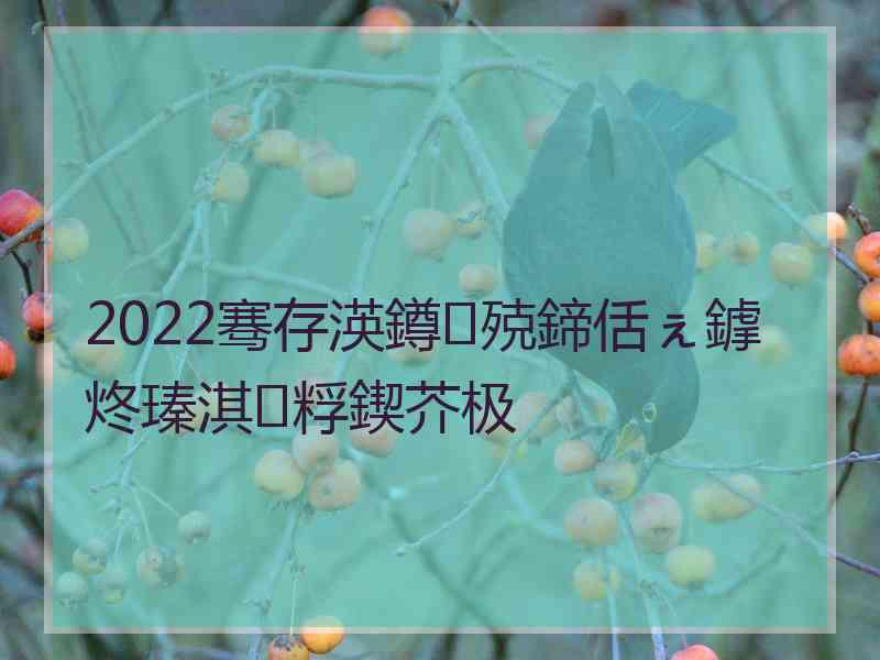 2022骞存渶鐏殑鍗佸ぇ鎼炵瑧淇粰鍥芥极