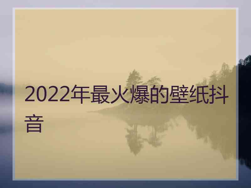 2022年最火爆的壁纸抖音