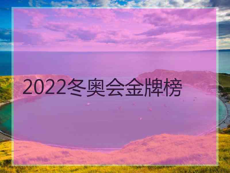 2022冬奥会金牌榜