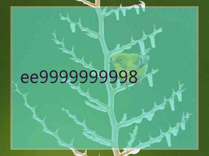 ee9999999998