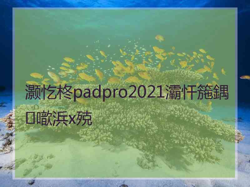 灏忔柊padpro2021灞忓箷鍝噷浜х殑