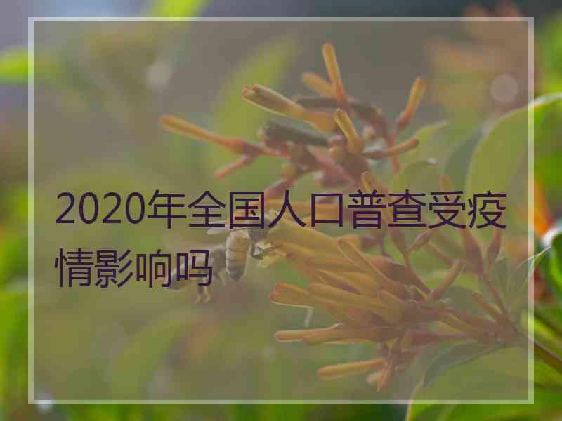 2020年全国人口普查受疫情影响吗