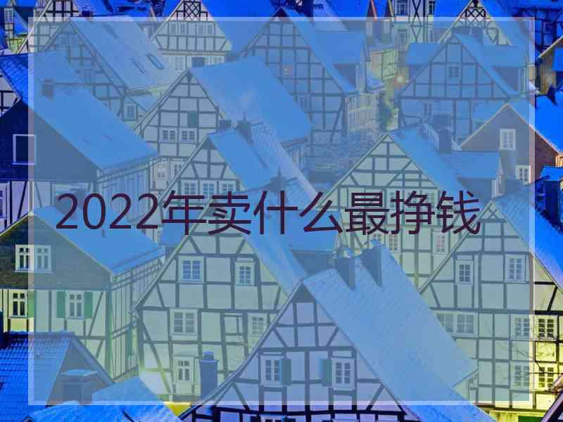 2022年卖什么最挣钱