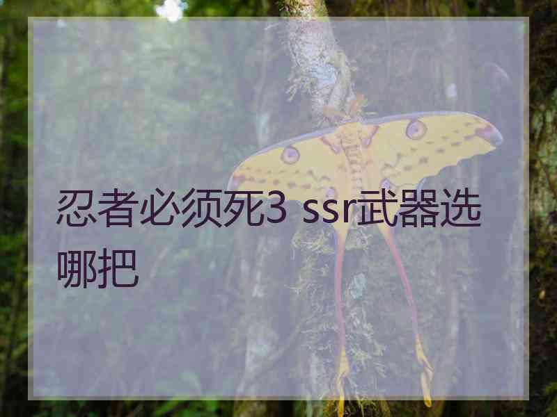 忍者必须死3 ssr武器选哪把