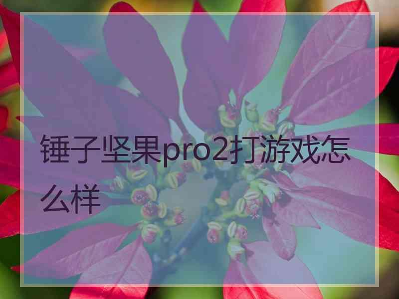 锤子坚果pro2打游戏怎么样