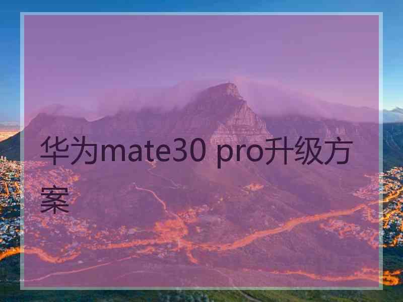 华为mate30 pro升级方案