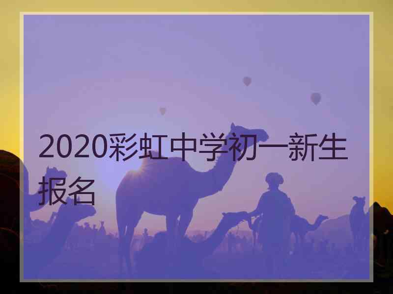 2020彩虹中学初一新生报名