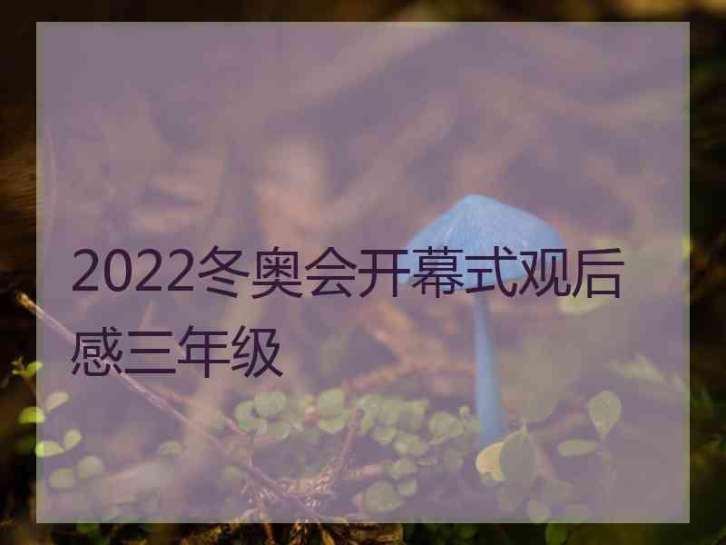 2022冬奥会开幕式观后感三年级