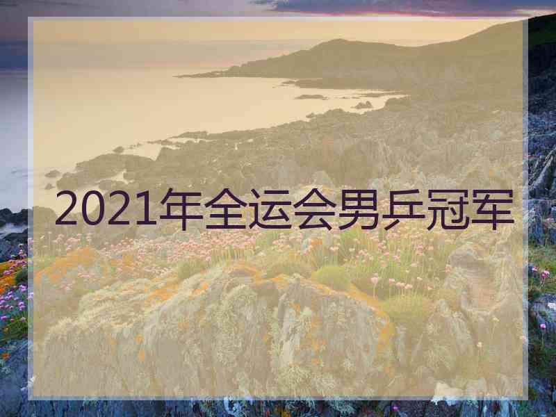 2021年全运会男乒冠军